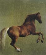 George Stubbs whistlejacket oil painting reproduction